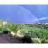 Retirement Community with Spacious 1-bedroom Casita... United States Arizona Green Valley
