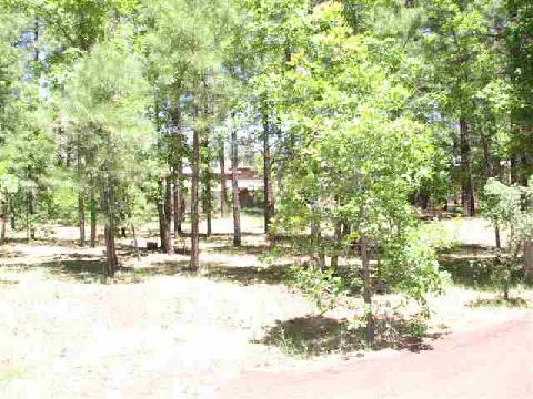 A Super Cozy Completely Renovated 2br/2.5bth Cabin among Tall Pines  United States Arizona Pinetop