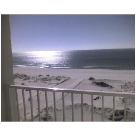 SUNSHINE AND SEASHELLS ~ LAY IN BED SEE THE GULF, Studio efficiency United States Alabama Gulf Shores